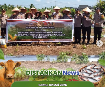 UMKM Perikanan Naik Level di Sukajadi & Senapelan!