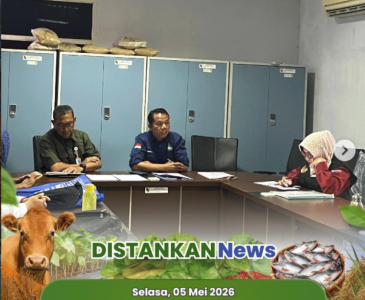 Cek Lapangan Peternak Puyuh di Pematang Kapau!
