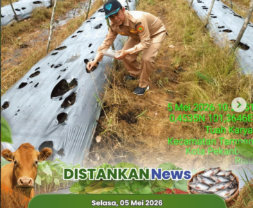 Kegiatan di Pokja 3 PKK Kecamatan Senapelan