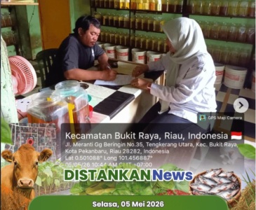 Kegiatan di Poktan Mandiri Sejahtera
