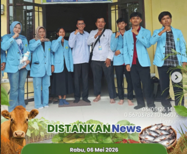 Penanaman di Kebun PKK Kota Pekanbaru yang berlokasi di Kelurahan Delima