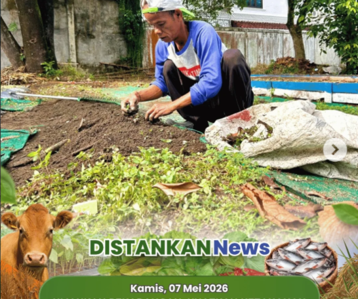 Penanaman di Kebun PKK Kota Pekanbaru yang berlokasi di Kelurahan Delima