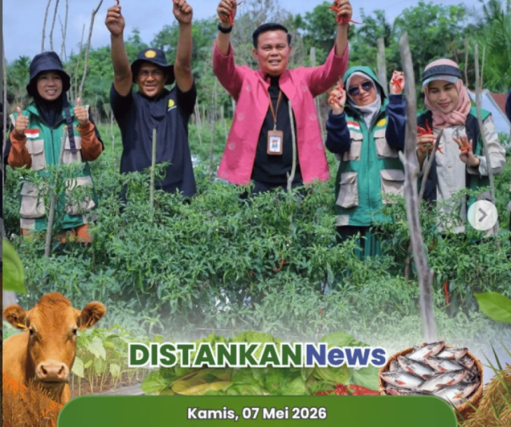 Panen cabe bersama Kelompok Tani Kadiran Jaya di Kelurahan Pebatuan