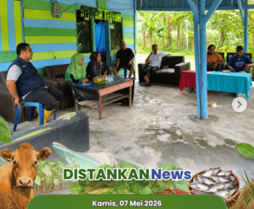 Monitoring Tanaman Semangka Kelompok Tani Amara Jaya