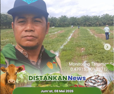 Diseminasi Penyuluhan KWT Elba Kasturi