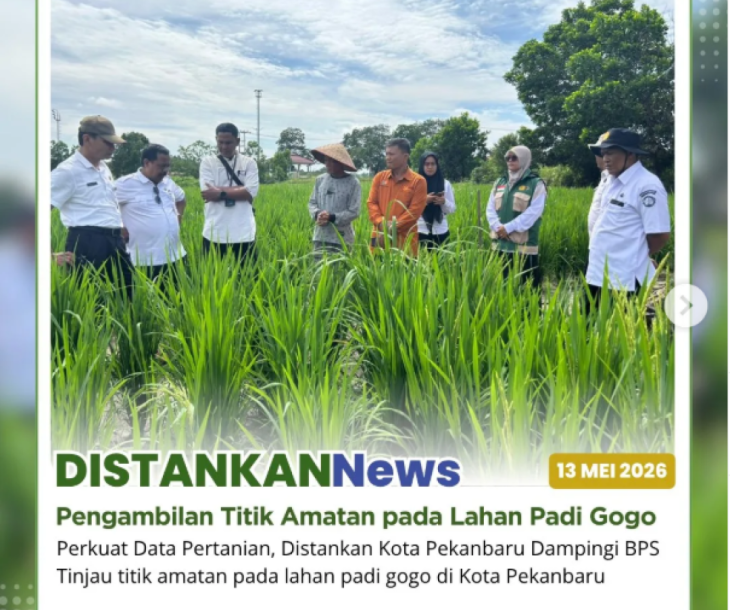 Pengambilan titik amatan pada lahan padi gogo di beberapa wilayah Kota Pekanbaru