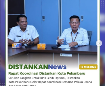 Monitoring penggemukan sapi kurban untuk memastikan kondisi ternak tetap sehat, terawat, dan siap menjelang hari ray