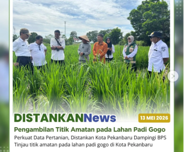 Kegiatan penanaman bibit di Kebun Aku Hatinya PKK Kota Pekanbaru