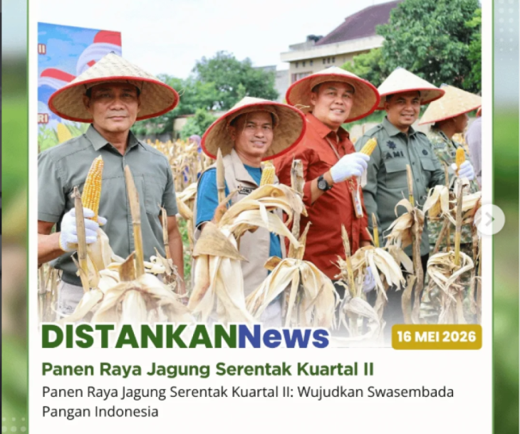 Panen Raya Jagung Serentak Kuartal II