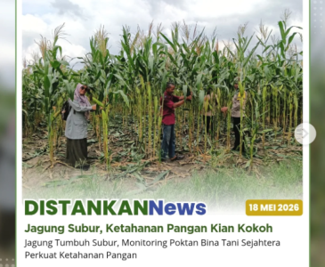 Sertifikat Halal diserahkan kepada anggota Pokdakan Selendang Delima