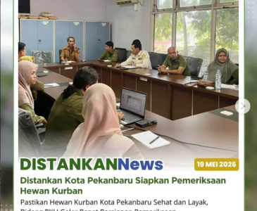 Jagung di Poktan Bina Tani Sejahtera tumbuh makin subur dan terus dipantau