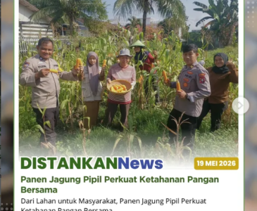 Monitoring bawang merah Poktan Sukamakmur 1