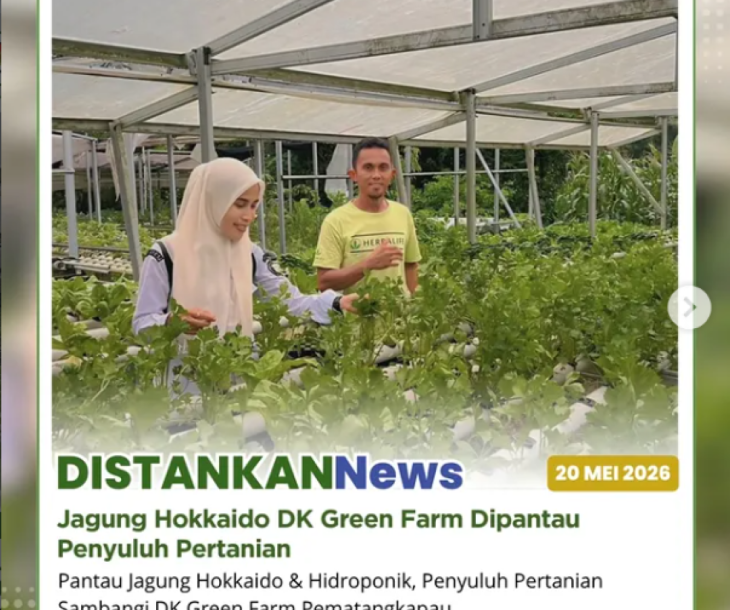 Anjangsana penuh semangat bersama Poktan DK Green Farm Kel. Pematangkapau