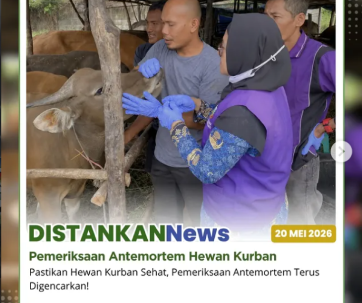 Pemeriksaan antemortem hewan kurban di wilayah Kecamatan Marpoyan Damai dan Kecamatan Payung Sekaki