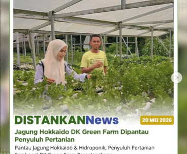 Persiapan program Sapi Bantuan Presiden Tahun 2026