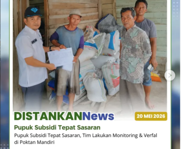 Tim melakukan survei lapangan sebagai langkah awal persiapan pelatihan Sekolah Lapang (SL)