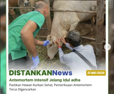 Petugas pemeriksa hewan kurban Kota Pekanbaru siap turun langsung ke lapangan!