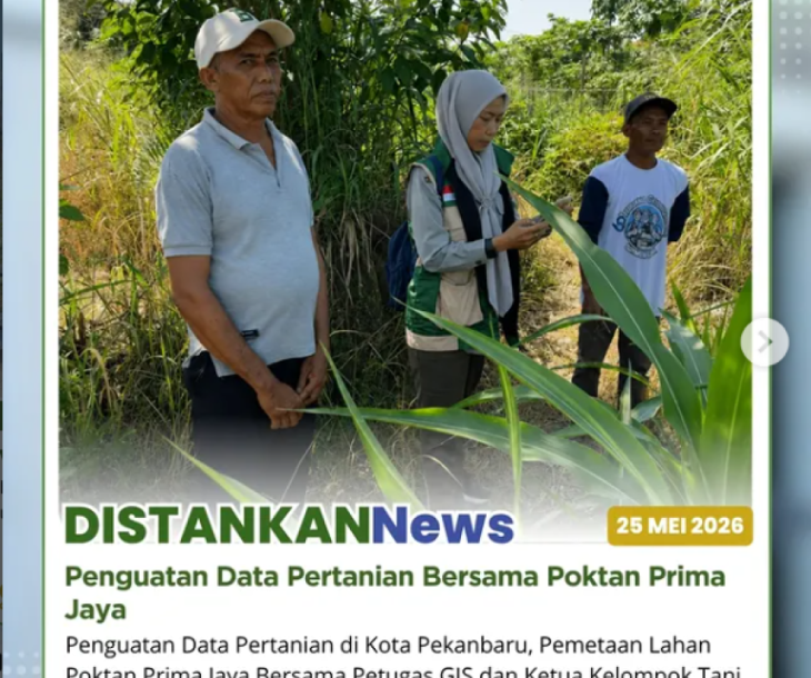 Pemetaan lahan (polygon) di Poktan Prima Jaya Kel. Perhentian Marpoyan