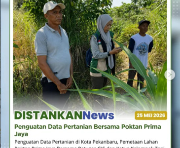 Monitoring tanaman kacang panjang