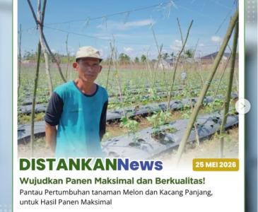 Pengecekan Corn Sheller bantuan APBN