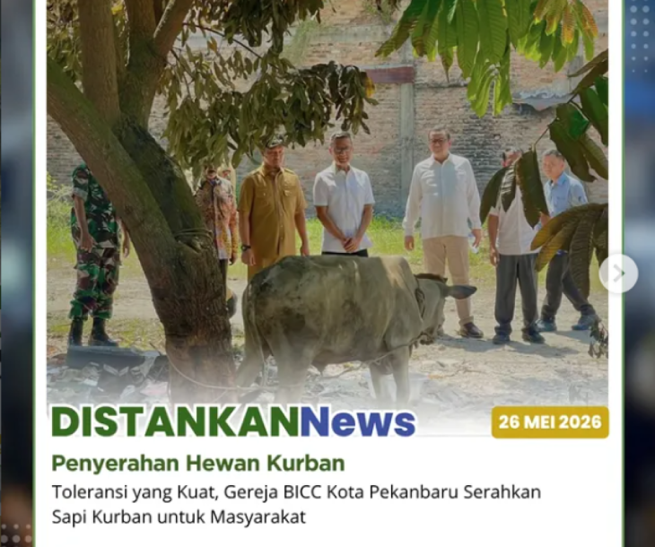 Gereja BICC menyerahkan satu ekor sapi kurban untuk masyarakat, khususnya di Kecamatan Marpoyan Damai