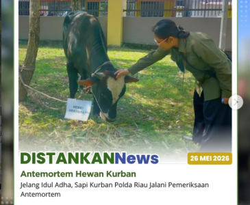 Pemerintah Kota Pekanbaru melaksanakan sidak pasar