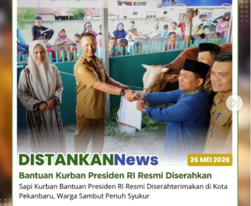 Kegiatan pemotongan hewan kurban di beberapa titik di Kota Pekanbaru