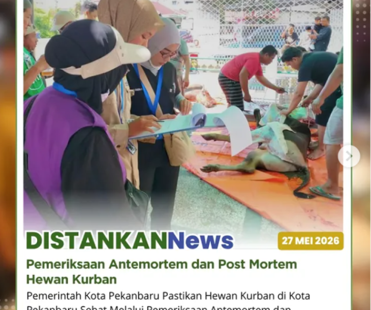 Pemeriksaan antemortem dan post mortem hewan kurban di berbagai wilayah Kota Pekanbaru