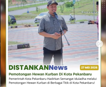 Sapi Kurban Bantuan Presiden RI Resmi Diserahterimakan di Kota Pekanbaru