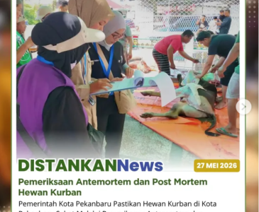 Kegiatan pemotongan hewan kurban di beberapa titik di Kota Pekanbaru