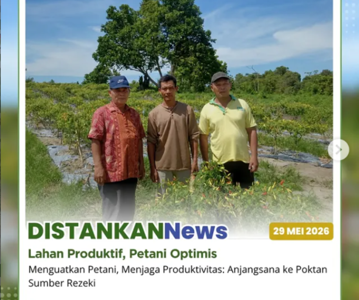 Cabai rawit geprek di Poktan Sumber Rezeki terus menunjukkan hasil yang menjanjikan