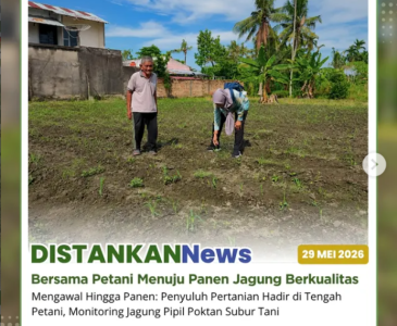 Anjangsana Kebun Dasawisma Kelurahan Mentangor