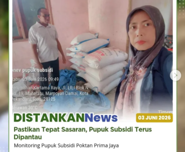 Penanaman Bawang Merah Di lahan Kelompok Tani Seroja Indah