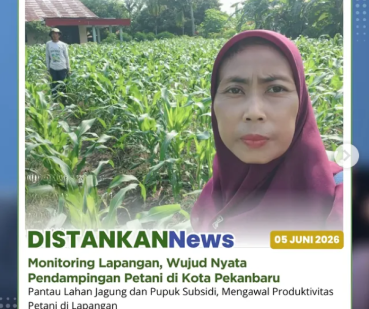 Monitoring Lapangan Lahan jagung