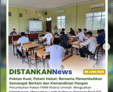 Meninjau Hamparan jagung manis Poktan Tunas Muda
