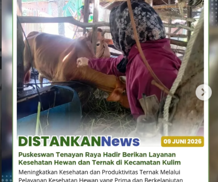 Puskeswan Tenayan Raya terus hadir memberikan pelayanan kesehatan hewan