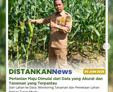 Monitoring harga pangan di Pasar Pagi Arengka