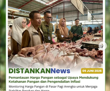 Panen Sayur Pakcoy  di Kebun Hatinya PKK Kota Pekanbaru