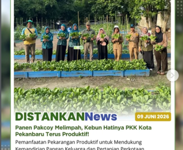 Pendampingan penilaian Lomba Aku HATINYA PKK Tingkat Kota Pekanbaru di Kecamatan Sail