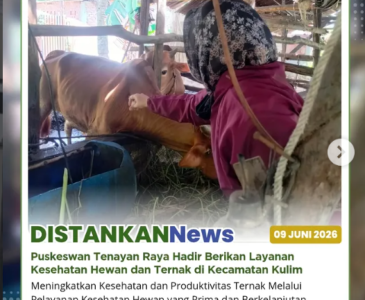 Pendampingan penilaian Lomba Aku HATINYA PKK Tingkat Kota Pekanbaru di Kecamatan Sail