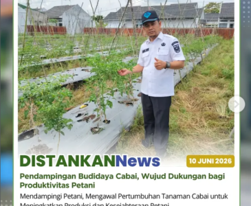 Penyuluh Pertanian melaksanakan kunjungan ke Poktan Aur Kuning