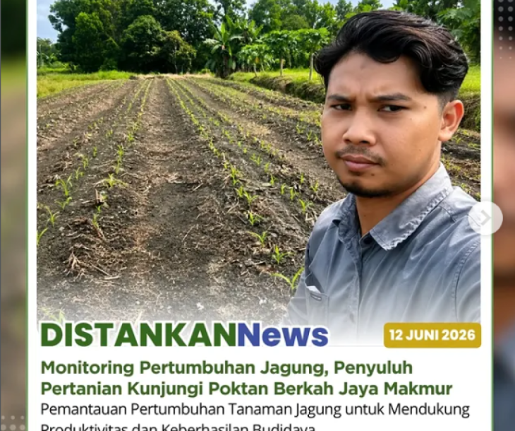 Kunjungan ke Poktan Berkah Jaya Makmur di Kelurahan Tirta Siak