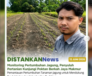 Bantuan Alat dan Mesin Pertanian (Alsintan) yang bersumber dari Anggaran Pendapatan dan Belanja Negara (APBN)
