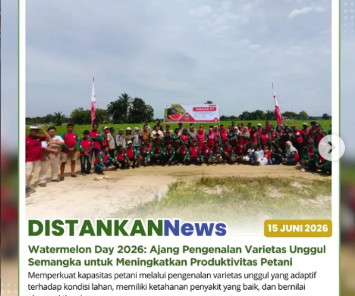 Watermelon Day 2026: Mengenal Varietas Unggul, Meningkatkan Peluang Usaha Tani