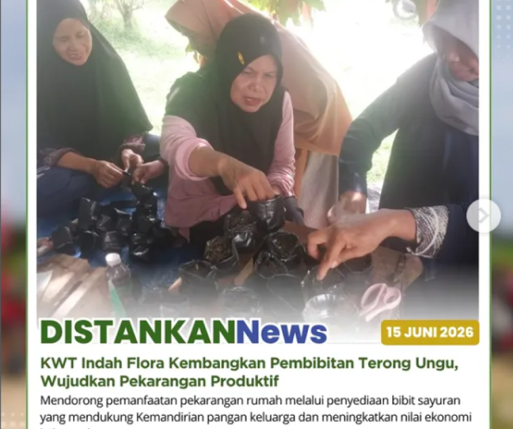 KWT Indah Flora Kembangkan Pembibitan Terong Ungu, Wujudkan Pekarangan Produktif