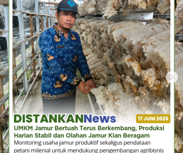 UMKM Jamur Bertuah di Kelurahan Air Putih
