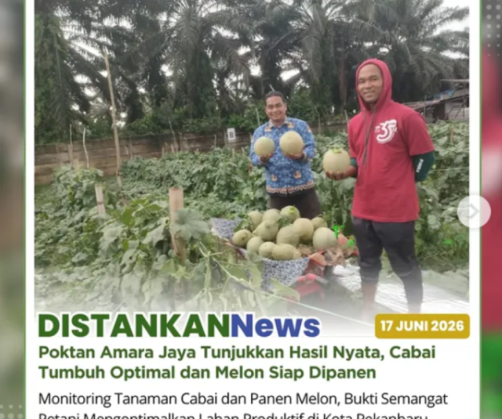 Hasil Nyata Poktan Amara Jaya