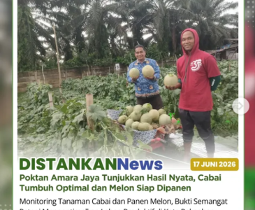 Pemetaan lahan (poligon) di Poktan Singgalang Jaya dan Poktan Mitra Keluarga