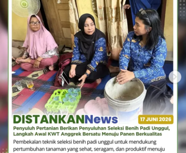 Pendampingan Tanaman Cabai di KWT Cendana Harum