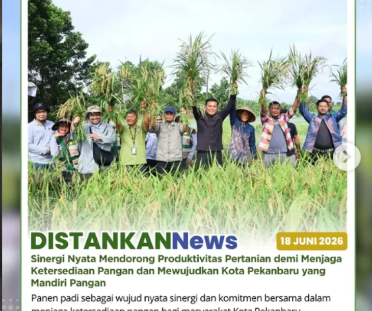 panen padi di lahan seluas 1,2 hektare yang berlokasi di Kelurahan Sialang Rampai